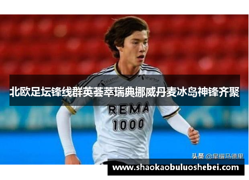 北欧足坛锋线群英荟萃瑞典挪威丹麦冰岛神锋齐聚