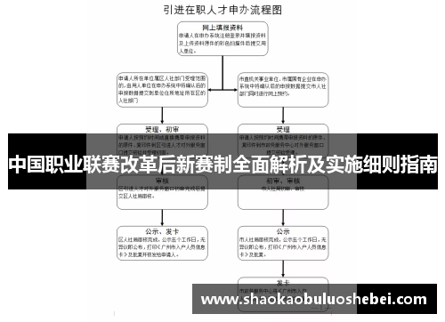 中国职业联赛改革后新赛制全面解析及实施细则指南