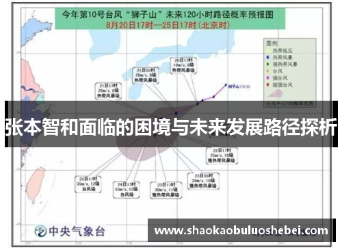 张本智和面临的困境与未来发展路径探析
