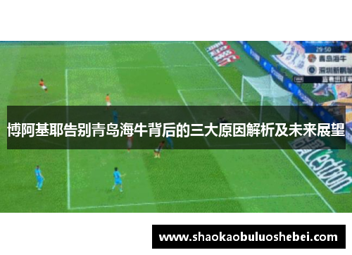 博阿基耶告别青岛海牛背后的三大原因解析及未来展望