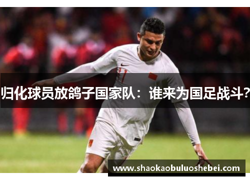 归化球员放鸽子国家队：谁来为国足战斗？