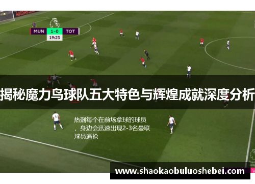 揭秘魔力鸟球队五大特色与辉煌成就深度分析