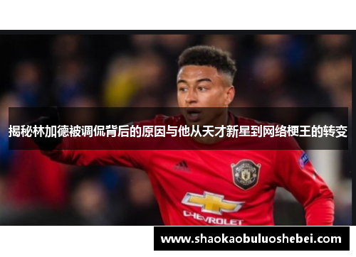 揭秘林加德被调侃背后的原因与他从天才新星到网络梗王的转变