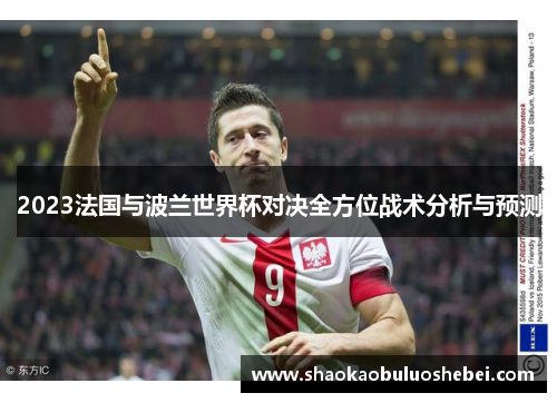 2023法国与波兰世界杯对决全方位战术分析与预测 2023法国与波兰世界杯对决全方位战术分析与预测