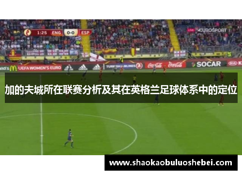 加的夫城所在联赛分析及其在英格兰足球体系中的定位 加的夫城所在联赛分析及其在英格兰足球体系中的定位