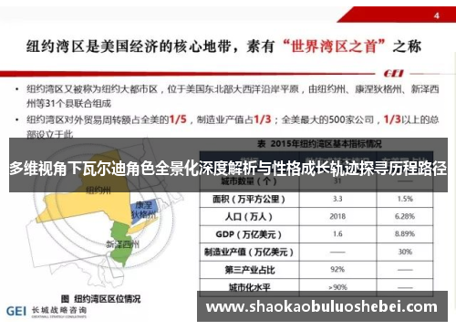 多维视角下瓦尔迪角色全景化深度解析与性格成长轨迹探寻历程路径 多维视角下瓦尔迪角色全景化深度解析与性格成长轨迹探寻历程路径
