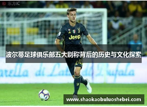 波尔蒂足球俱乐部五大别称背后的历史与文化探索 波尔蒂足球俱乐部五大别称背后的历史与文化探索