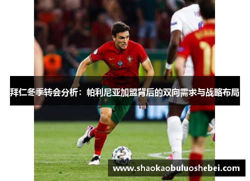 拜仁冬季转会分析:帕利尼亚加盟背后的双向需求与战略布局 拜仁冬季转会分析:帕利尼亚加盟背后的双向需求与战略布局